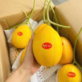 DƯA LÊ HÀN QUỐC