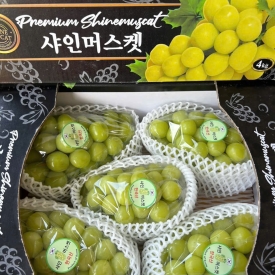 NHO MẪU ĐƠN HÀN QUỐC ( KG )