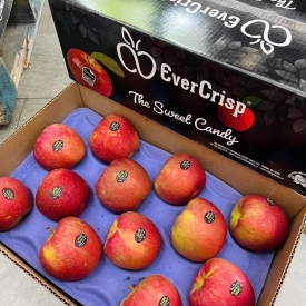 TÁO MẬT EVERCRIPS MỸ