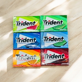 Singgum Trident Sugar Free 