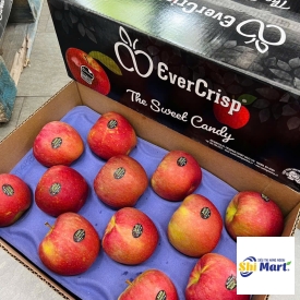 TÁO MẬT EVERCRIPS MỸ