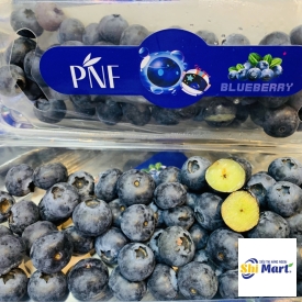 VIỆT QUẤT PNF HỘP DÀI