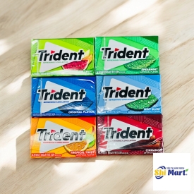 Singgum Trident Sugar Free 